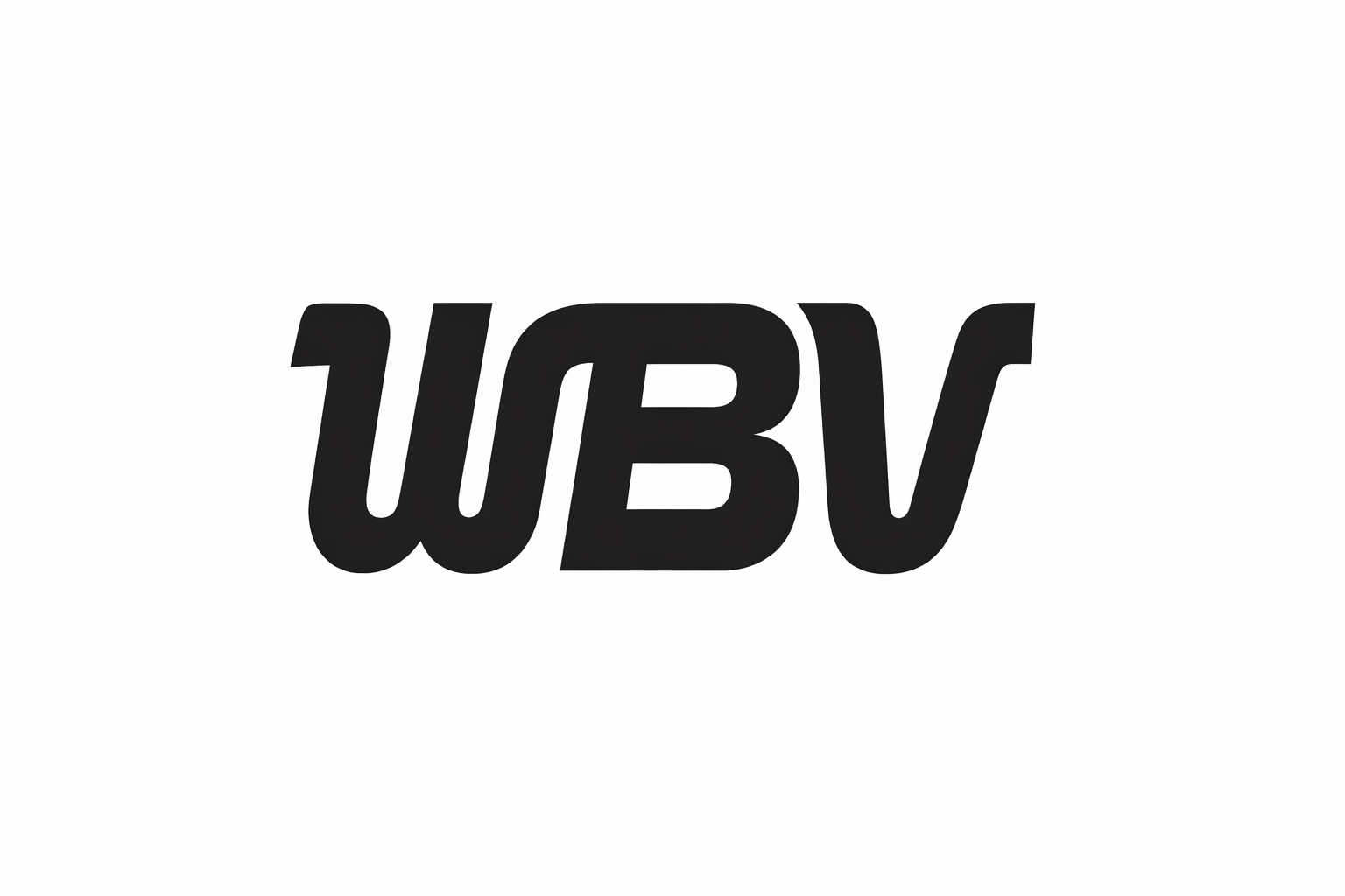 Wenbao Valve