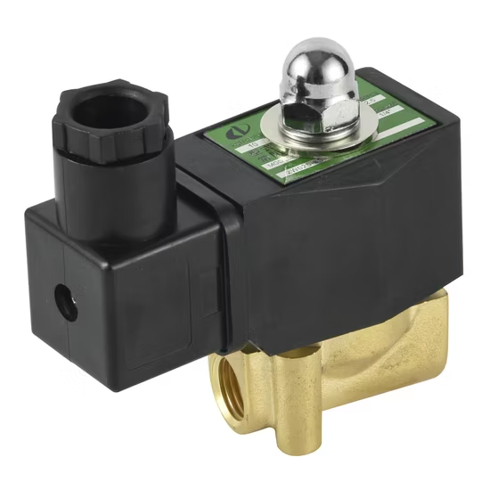Van điện từ nước AC24V tác động trực tiếp ảnh 2