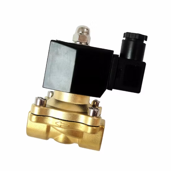 Van điện từ nước AC24V tác động trực tiếp ảnh 3
