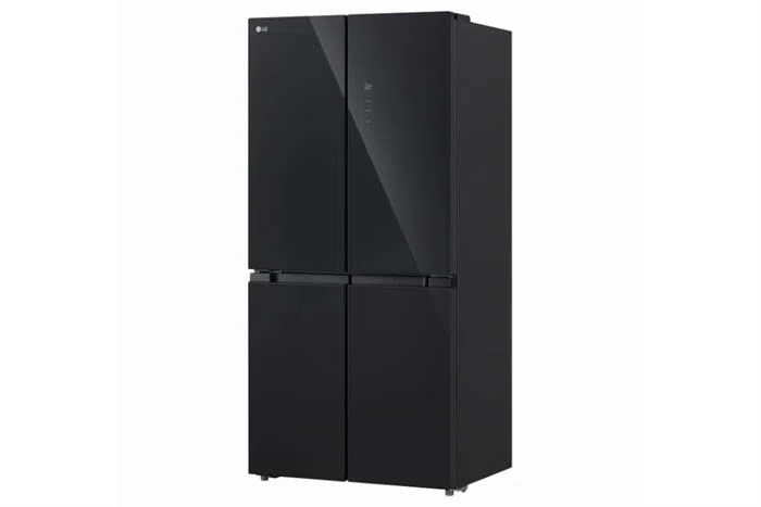 Tủ lạnh LG Inverter 400 lít F40BG ảnh 2