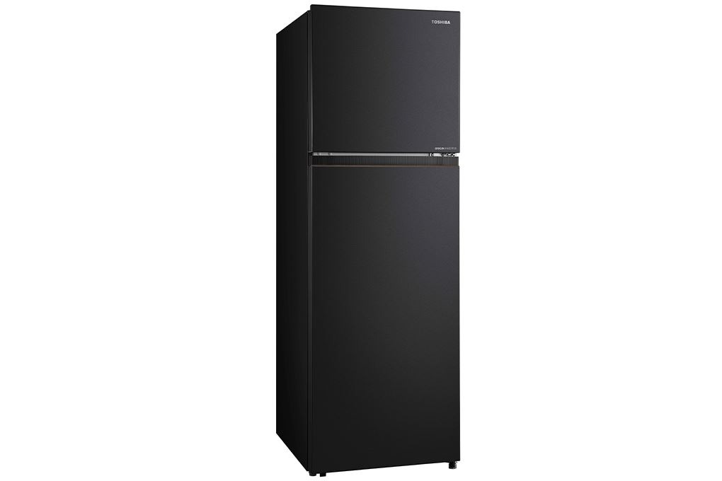 Tủ lạnh Toshiba Inverter 240 lít GR-RT310WE-PMV(68) Chính Hãng ảnh 2