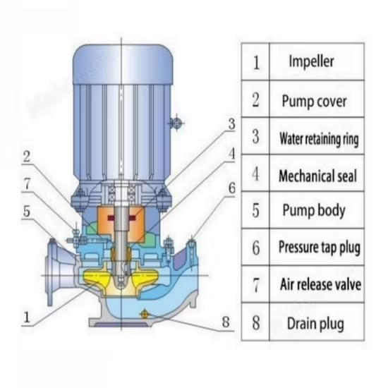 Máy bơm nước ly tâm công nghiệp với hiệu suất lưu lượng ổn định ảnh 4