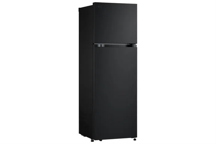 Tủ lạnh LG Inverter 266 lít LTB26BLM ảnh 2