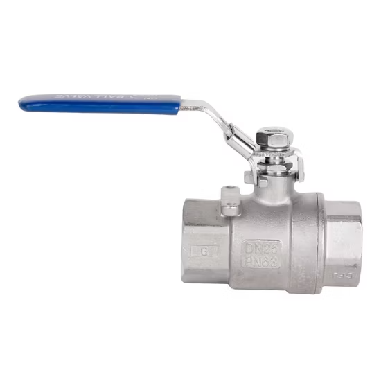 Van bi ren công nghiệp bằng thép không gỉ ảnh 3