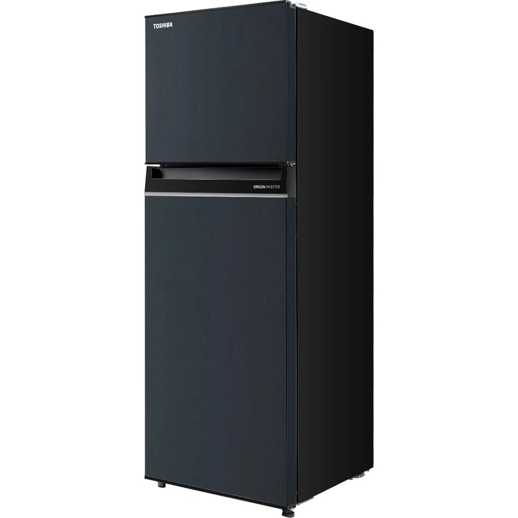 Tủ lạnh Toshiba Inverter 233 lít GR-RT303WE-PMV(52) ảnh 3