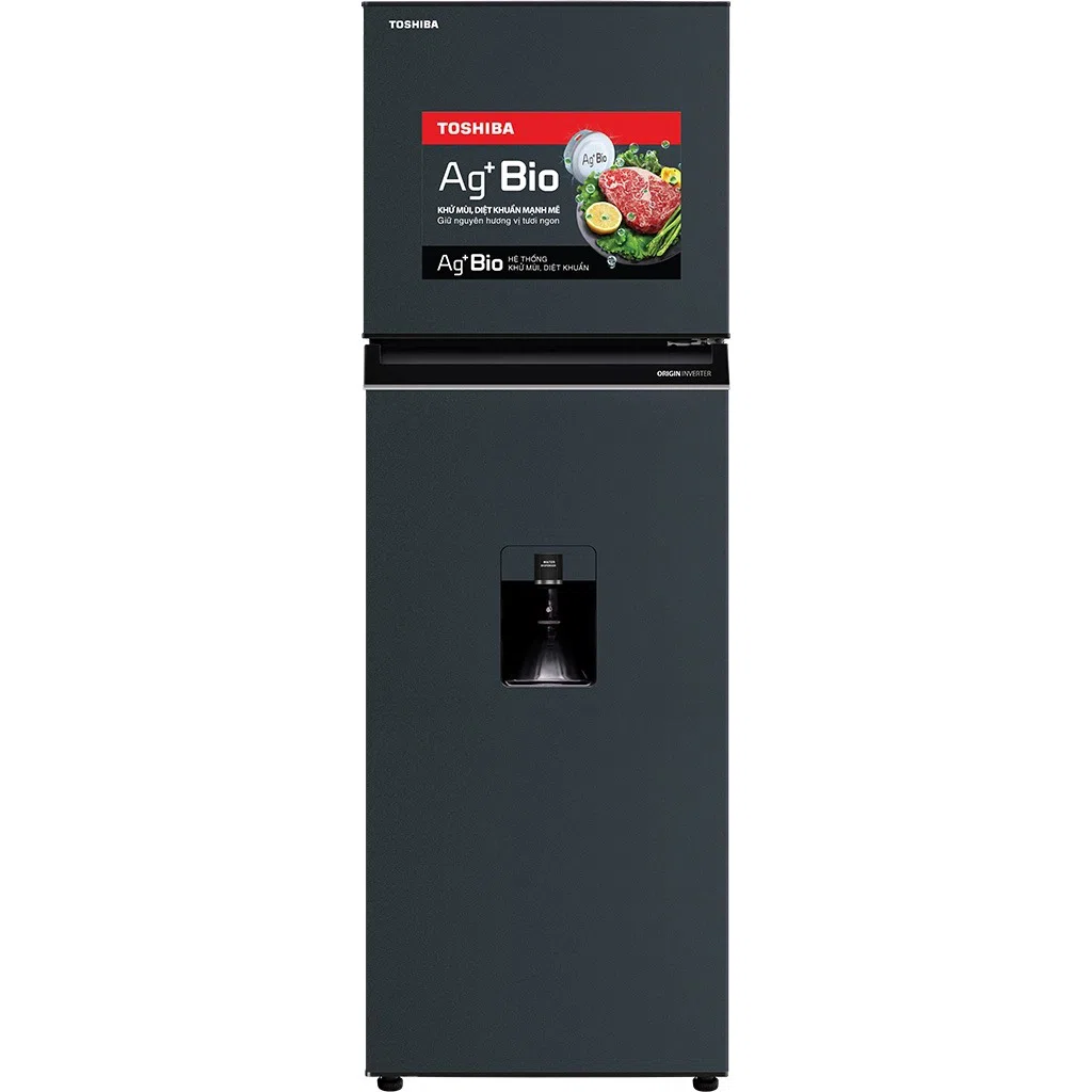 Tủ lạnh Toshiba Inverter 249 lít GR-RT325WE-PMV(06)-MG
