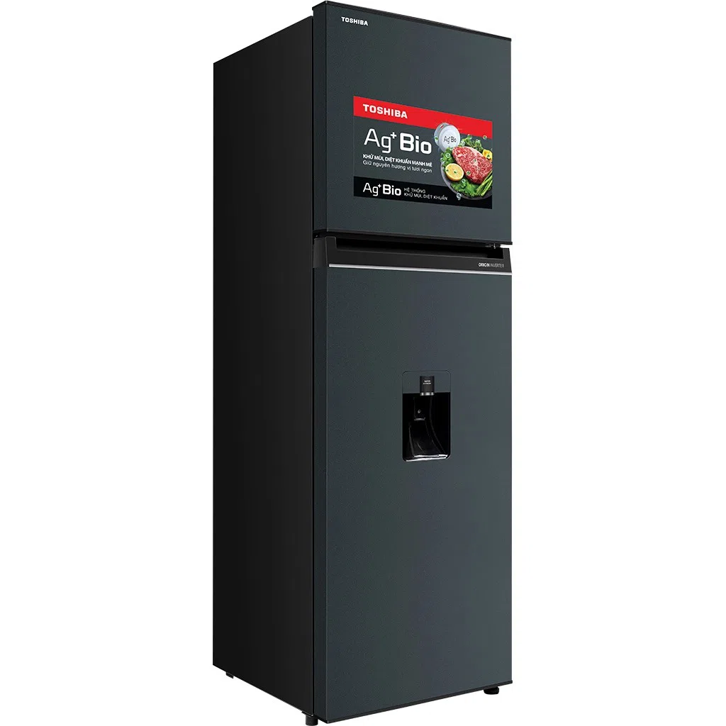 Tủ lạnh Toshiba Inverter 249 lít GR-RT325WE-PMV(06)-MG ảnh 2