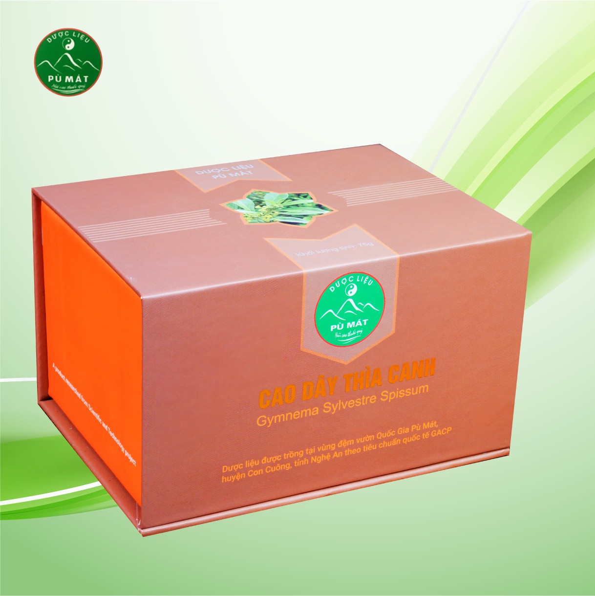 Cao Dây thìa canh Pù Mát ảnh 4