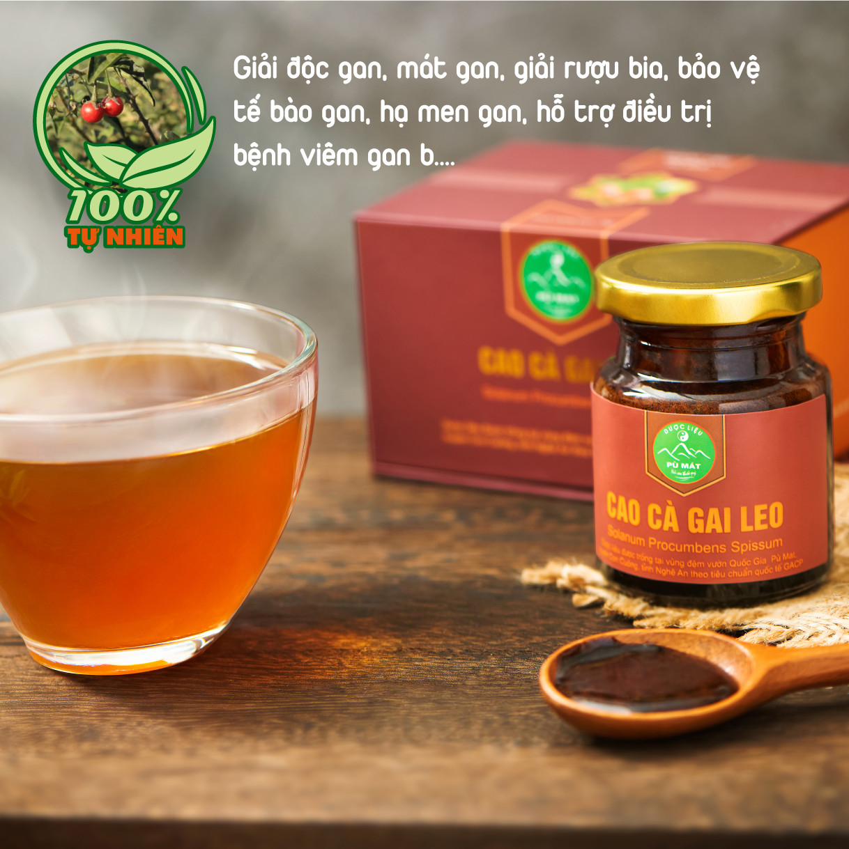 Cao cà gai leo Pù Mát ảnh 3