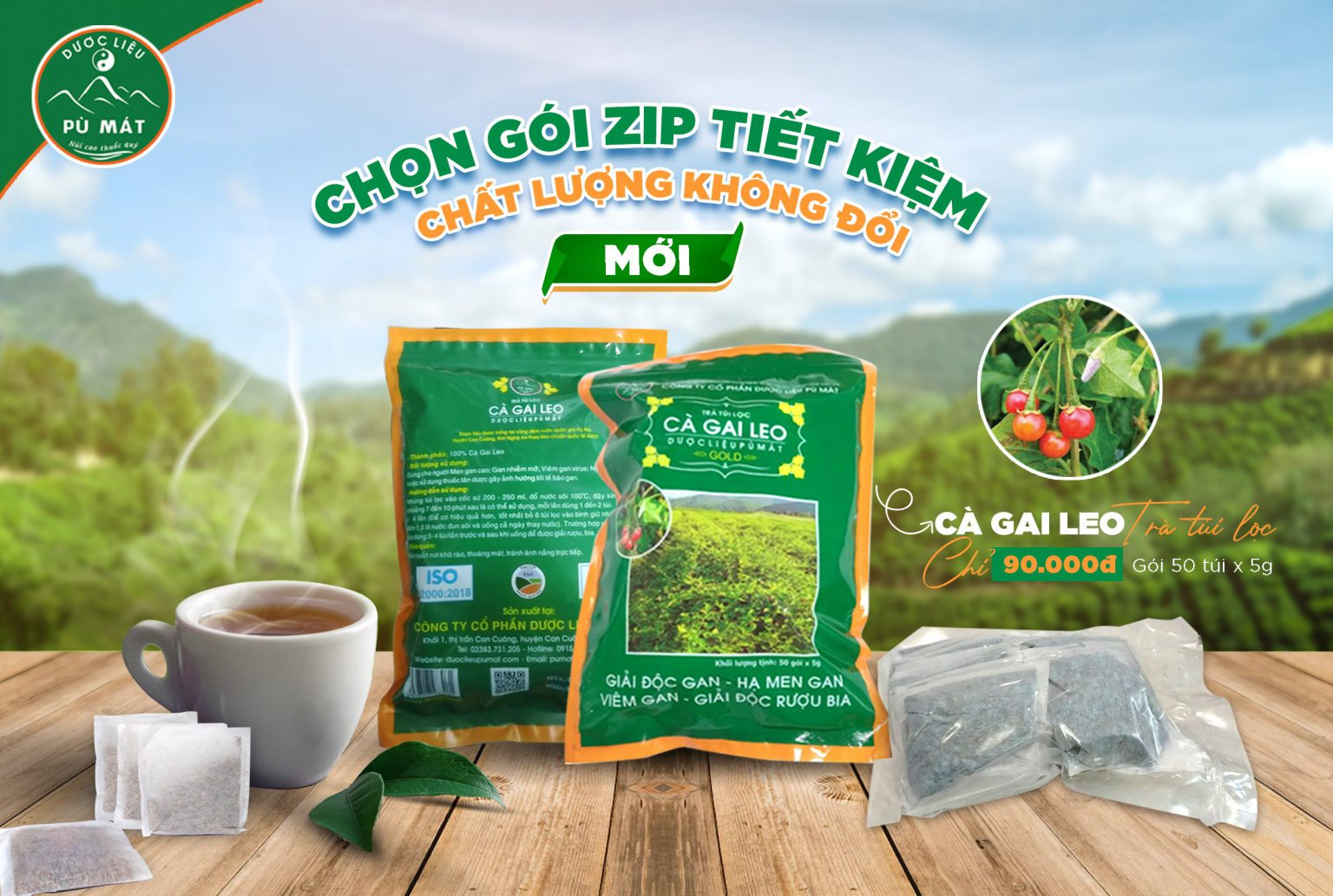 Trà Túi Lọc Cà Gai Leo – Gói ZIP 250g ảnh 2