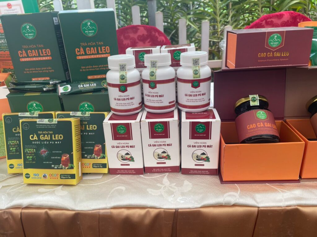VIÊN HOÀN CÀ GAI LEO PÙ MÁT ảnh 4