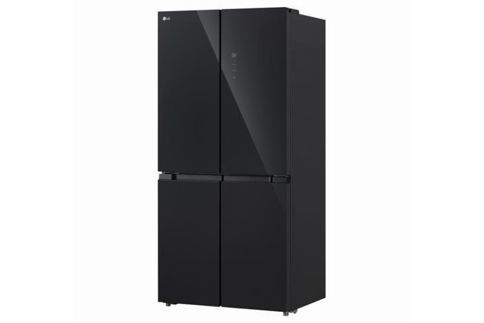 Tủ lạnh LG Inverter 400 lít F40BG ảnh 2
