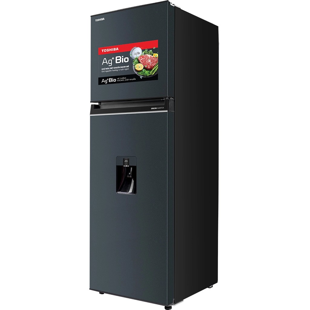 Tủ lạnh Toshiba Inverter 249 lít GR-RT325WE-PMV(06)-MG ảnh 3
