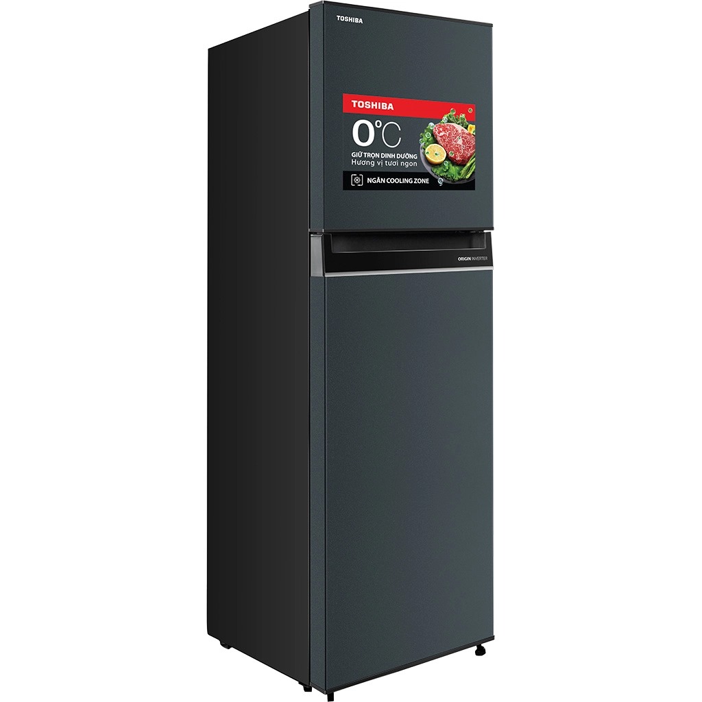 Tủ lạnh Toshiba Inverter 253 lít GR-RT329WE-PMV(52) ảnh 2