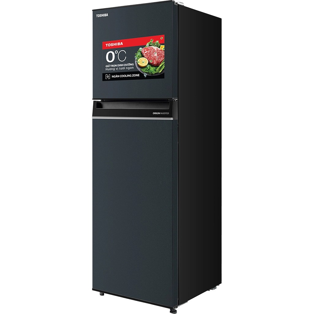 Tủ lạnh Toshiba Inverter 253 lít GR-RT329WE-PMV(52) ảnh 3